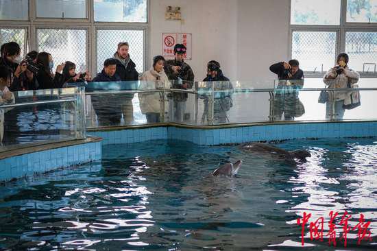 福建厦门：在无居民海岛守护海豚