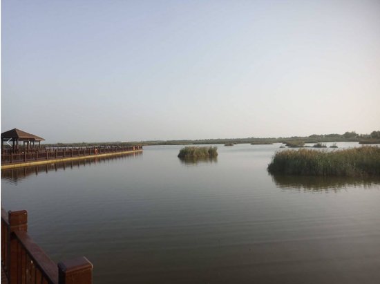 河北省地方标准“滨海湿地生态廊道生态修复技术规程”正式发布
