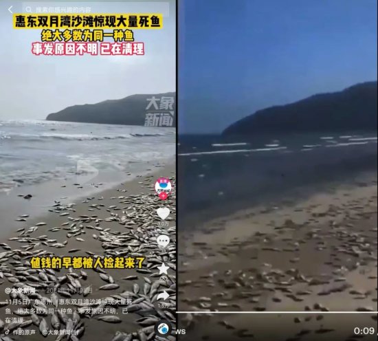 海滩上出现大量死鱼，系解放军演习所致？与军演无关！