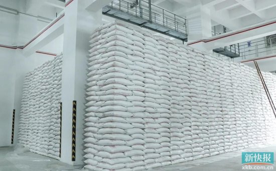 广州白云10万吨级粮库投入使用，首批小麦“颗粒归仓”