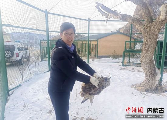 <em>赤峰</em>警民接力救助国家二级保护动物——雕鸮