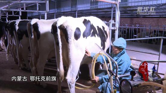 千城百县看<em>中国</em>｜内蒙古：传统奶食品的正确打开方式！