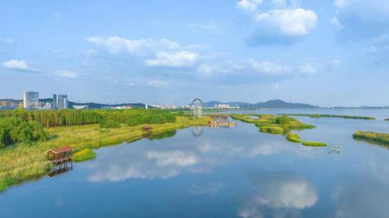 <em>太湖</em>湖滨 水墨丹青中的湿地秘境