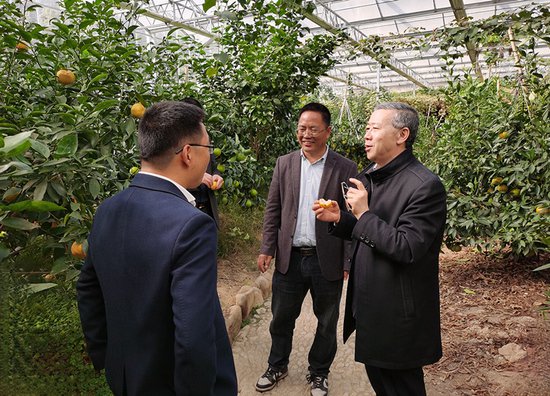 农业农村部中国绿色食品发展中心金发忠主任来宁波调研指导工作