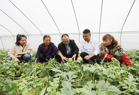 江西东乡：农技帮扶助力农业生产