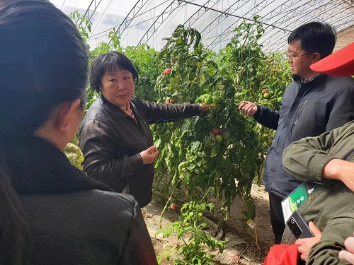 内蒙古新型职业农民培训班学员到市农科院都市所观摩学习