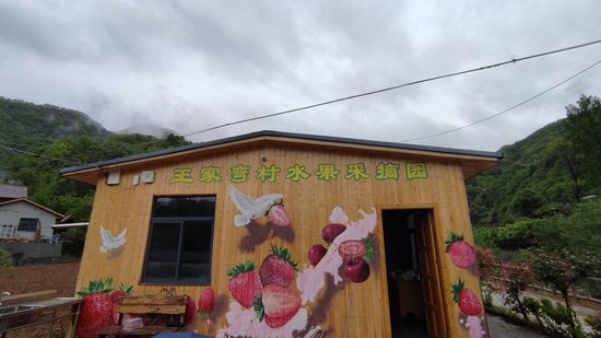 陕西佛坪王家湾村：从一颗草莓看乡村振兴