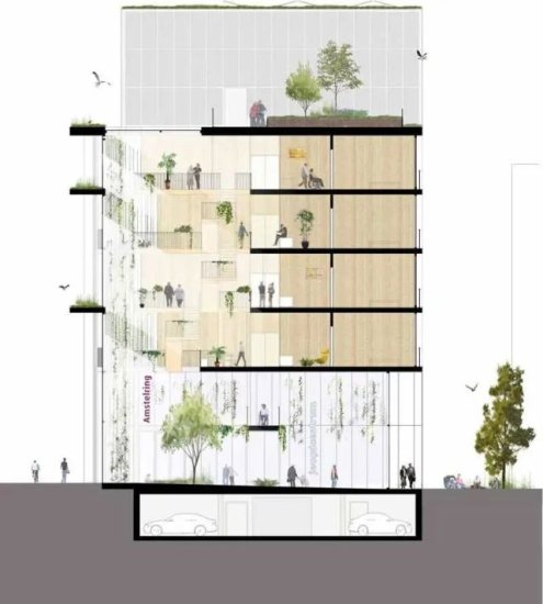阿姆斯特丹将为<em>老年人设计</em>可持续木构住宅