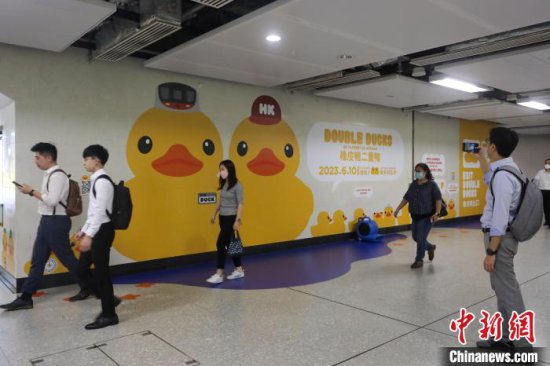 大型海上艺术展览“橡皮鸭二重畅”将在香港展出