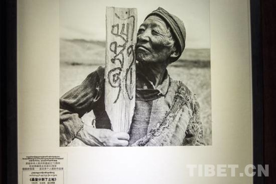 春，获新生——纪念西藏民主改革65周年