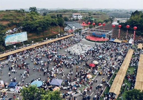 自贡开启“西瓜嘉年华”第八届九洪西瓜节开幕
