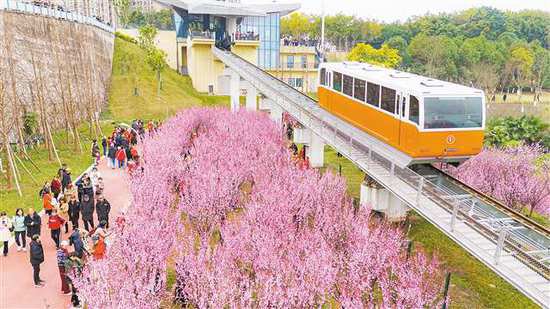 重庆主城多地驶来“开往春天的列车”