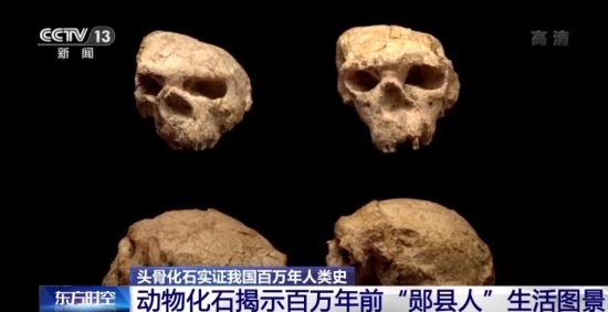 “<em>郧县</em>人”3号头骨化石提取出土 实证我国百万年人类史