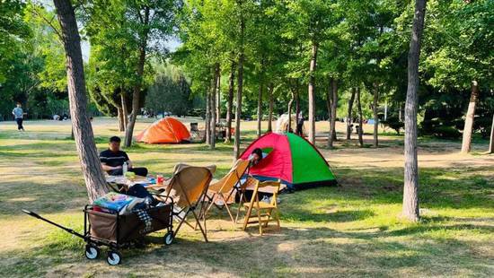 五一假期济南市属公园景区接待游客234.24万人次