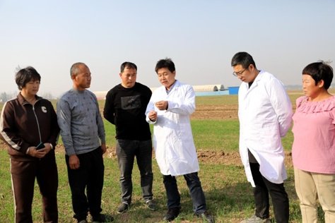 河北南皮：科技指导为小麦丰收添“底气”