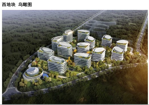 <em>青岛</em>国际院士研究院南延项目规划公示，<em>建设</em>28栋办公（实验）楼