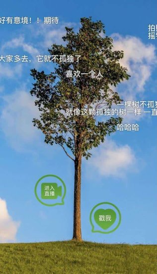 上海一棵“孤独的树”开启24小时<em>直播</em>，还<em>可以</em>对它说悄悄话