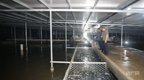 湖南蓝山：工厂化鳗鱼养殖<em> 新型</em>产业促发展