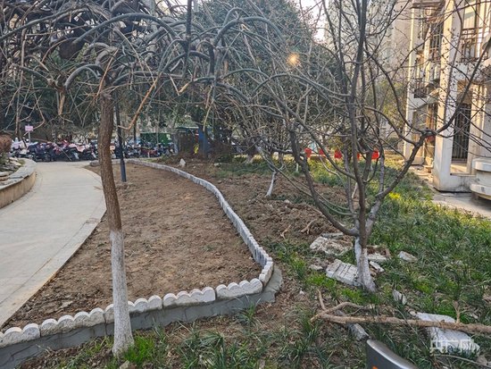 南京“2·23”火灾后 电动自行车该何去何从？