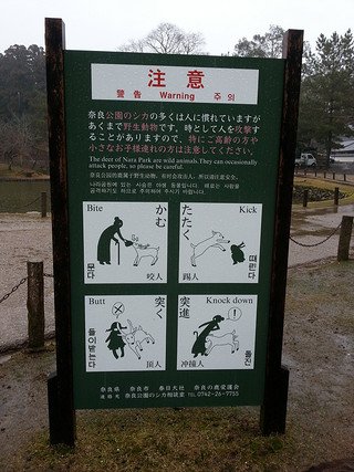 日本奈良鹿咬人情况不断增加 受害者八成为外国人