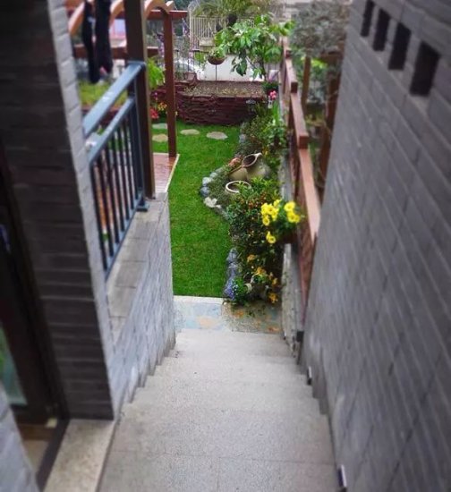 家有小庭院48平，喝茶、赏花、看风景，还有比这更休闲的吗？