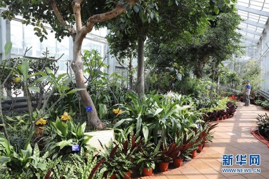 <em>北京最</em>“年长”植物温室重新开放