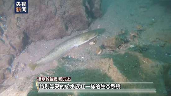 长江禁渔三年多 从水中到两岸有哪些新变化？