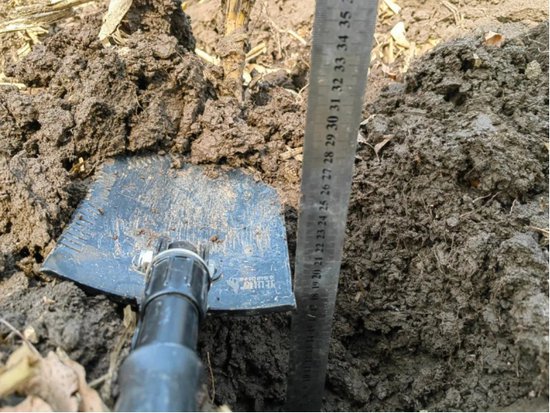 北大荒农业股份青龙山<em>分公司</em>监测土壤墒情为春播提供科学依据