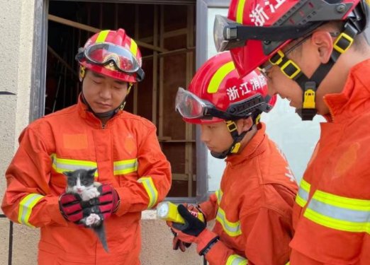 杭州消防员救下三只小<em>奶猫</em>！3个月后，画风成了这样