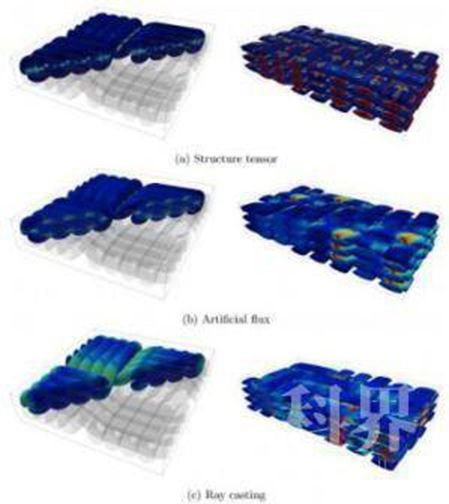 新方法获取纤维3D视图，还能快速评估导热性