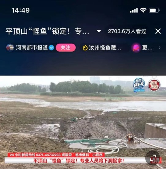 刘志永：河南汝州抓怪鱼事件的真相，99％的人都不知道