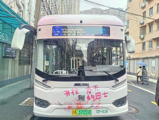 上海樱花节开幕 顾村公园樱花节定制公交班线开行