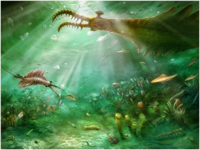 长五只眼的“虾”？中国科学家发现5亿年前的麒麟虾化石
