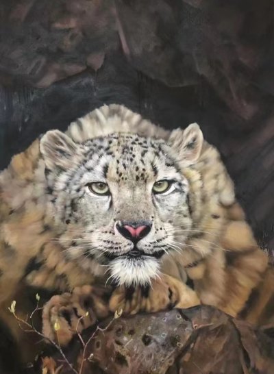 雪豹——手绘国家一级保护动物