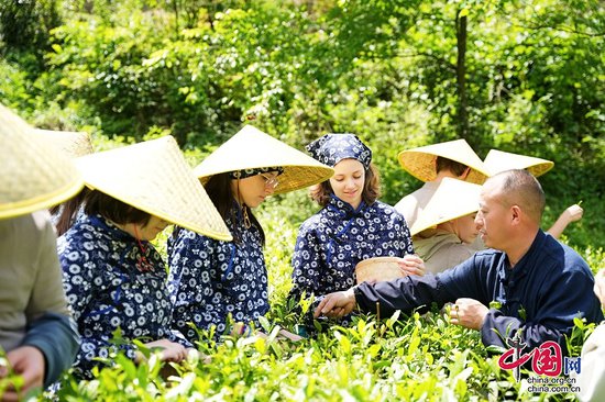 法国中学生研学到成都彭州 化身“茶农”体验中国传统文化