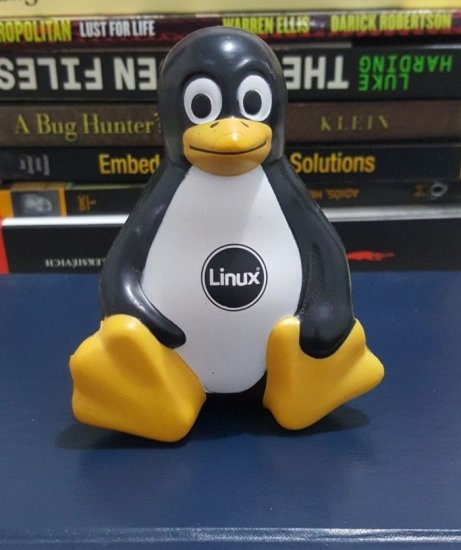 谷歌宣布资助两名专职人员<em>开发</em>和<em>维护</em>Linux内核安全