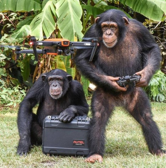 国外一段“黑猩猩飞无人机”的<em>视频播放</em>过百万，然而却是摆拍的