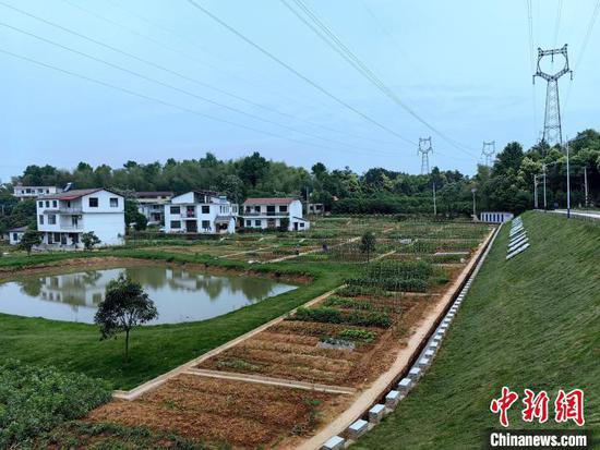 湖北<em>咸宁</em>一社区推出“共享菜园” 撂荒地变花园