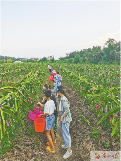 进一步丰富业态 湄洲岛发展现代农业助力乡村振兴