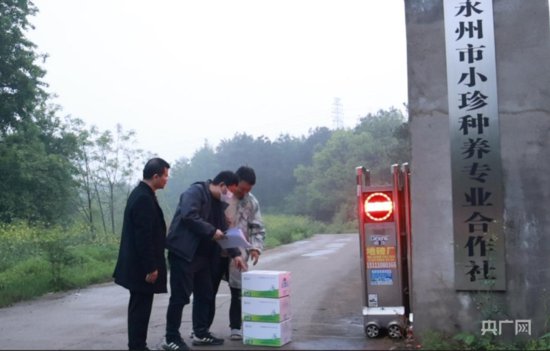 湖南永州：打好春季动物防疫针 撑起绿色养殖“保护伞”