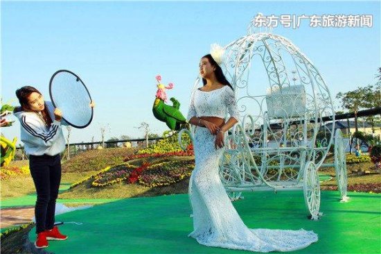 江门长廊生态园<em>建设婚纱摄影</em>基地，为新人们提供一站式服务