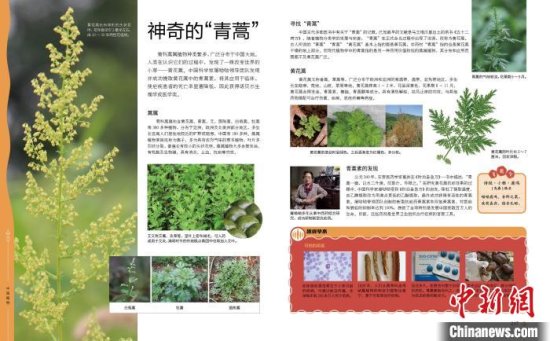 《中国<em>儿童</em>植物<em>百科全书</em>》寓教于乐带领孩子探索植物王国
