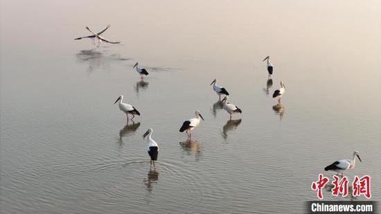 <em>鄱阳湖</em>巡护记：守护湿地候鸟 共建生态家园