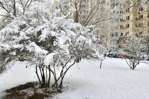 直击华北地区明显降雪天气：北京要下一天，气象<em>台</em>发暴雪蓝色...