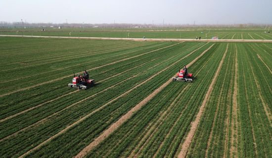 新体系 新布局 新力量——农业大省山东的大农业观实践