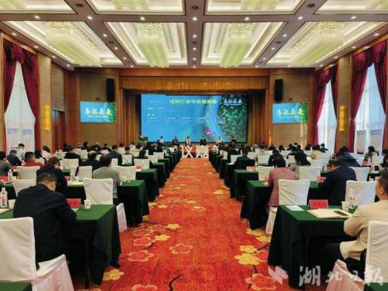 传鉴中国·嘉鱼县域品牌发展峰会成功举办