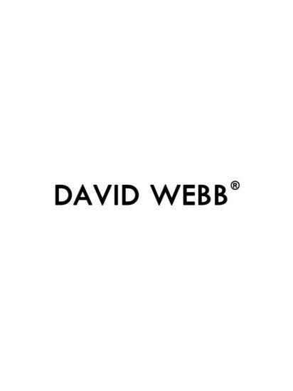 DAVIDWEBB戴维·韦伯女装入榜2017年美国最具影响力<em>十大</em>女装...