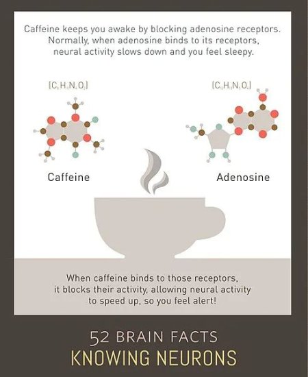 喝了咖啡会困是多动症？网友和科学家们吵翻了