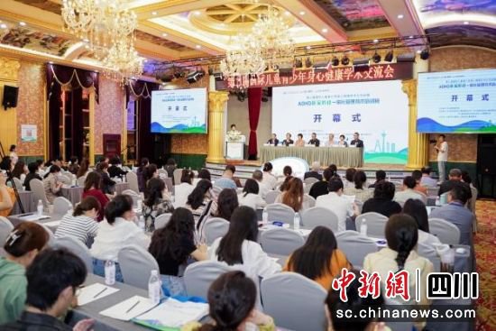 第二届国际儿童青少年身心健康学术交流会在蓉召开