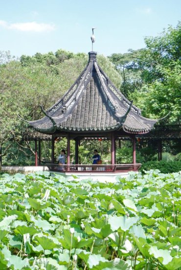 上海四大园林之一，已有千年历史，为白居易<em>起名</em>醉白池